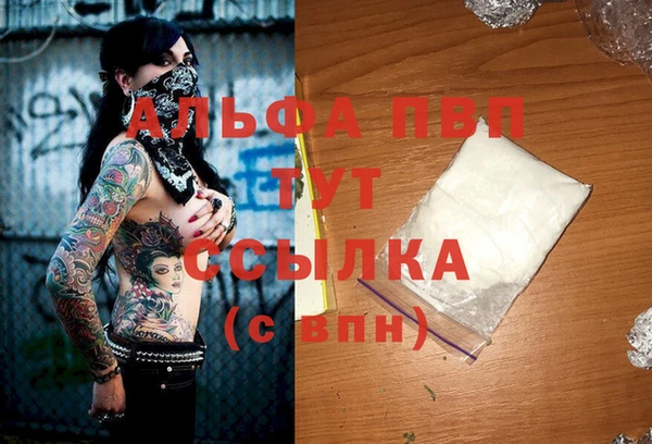 СК Апатиты