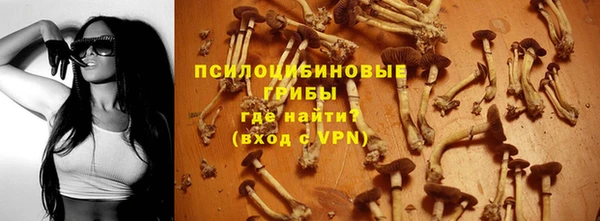 мдпв Бугульма
