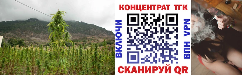 наркота  Вихоревка  ТГК THC oil 