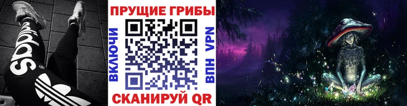hydra зеркало Вихоревка Галлюциногенные грибы Cubensis